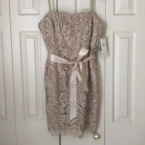 Adrianna Papell Beige Dress NWT